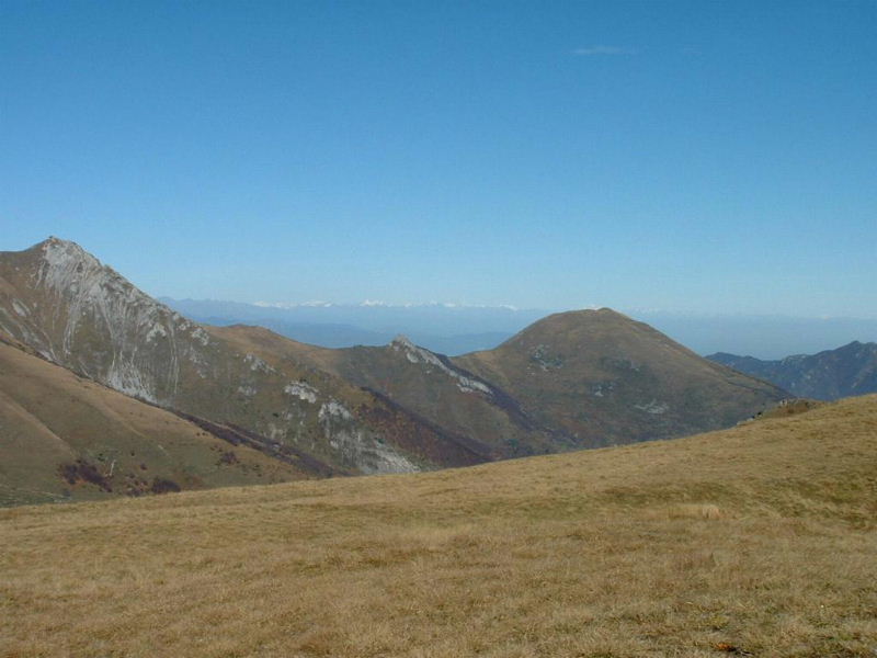 Blick gen Norden